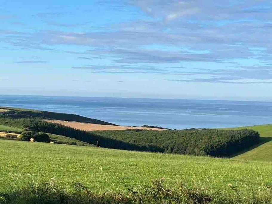 The Bird House - Coastal Lodge In Lovely Forest Setting Nr. Kinsale Cork Exteriör bild