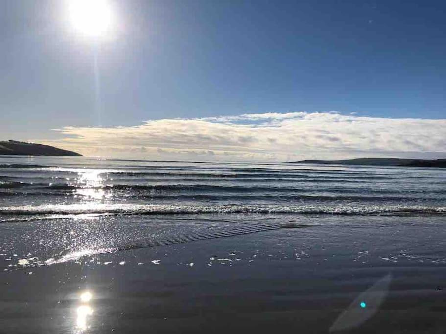 The Bird House - Coastal Lodge In Lovely Forest Setting Nr. Kinsale Cork Exteriör bild