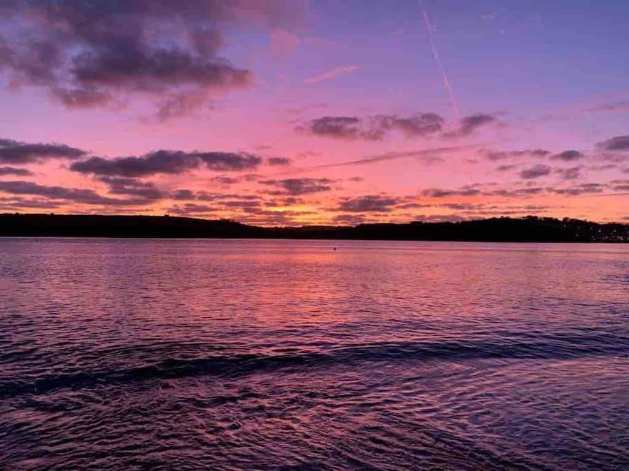 The Bird House - Coastal Lodge In Lovely Forest Setting Nr. Kinsale Cork Exteriör bild
