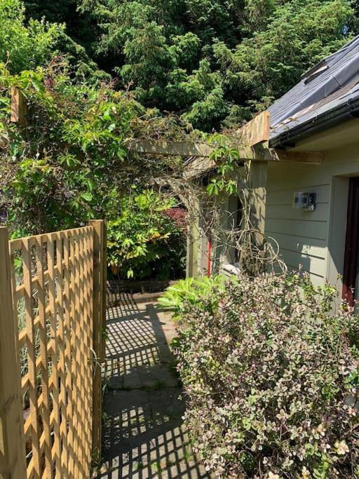 The Bird House - Coastal Lodge In Lovely Forest Setting Nr. Kinsale Cork Exteriör bild